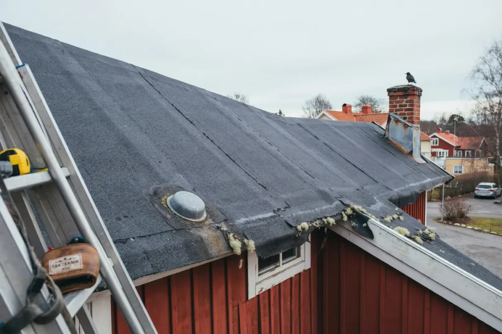 inspektion av papptak vad b r kontrolleras f rst
